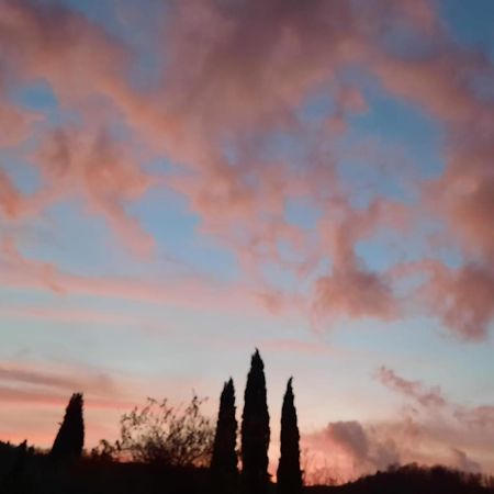 Villa Al Piccolo Ulivo, A Casa Di Mimo&Se Castiglione dʼOrcia Exterior foto