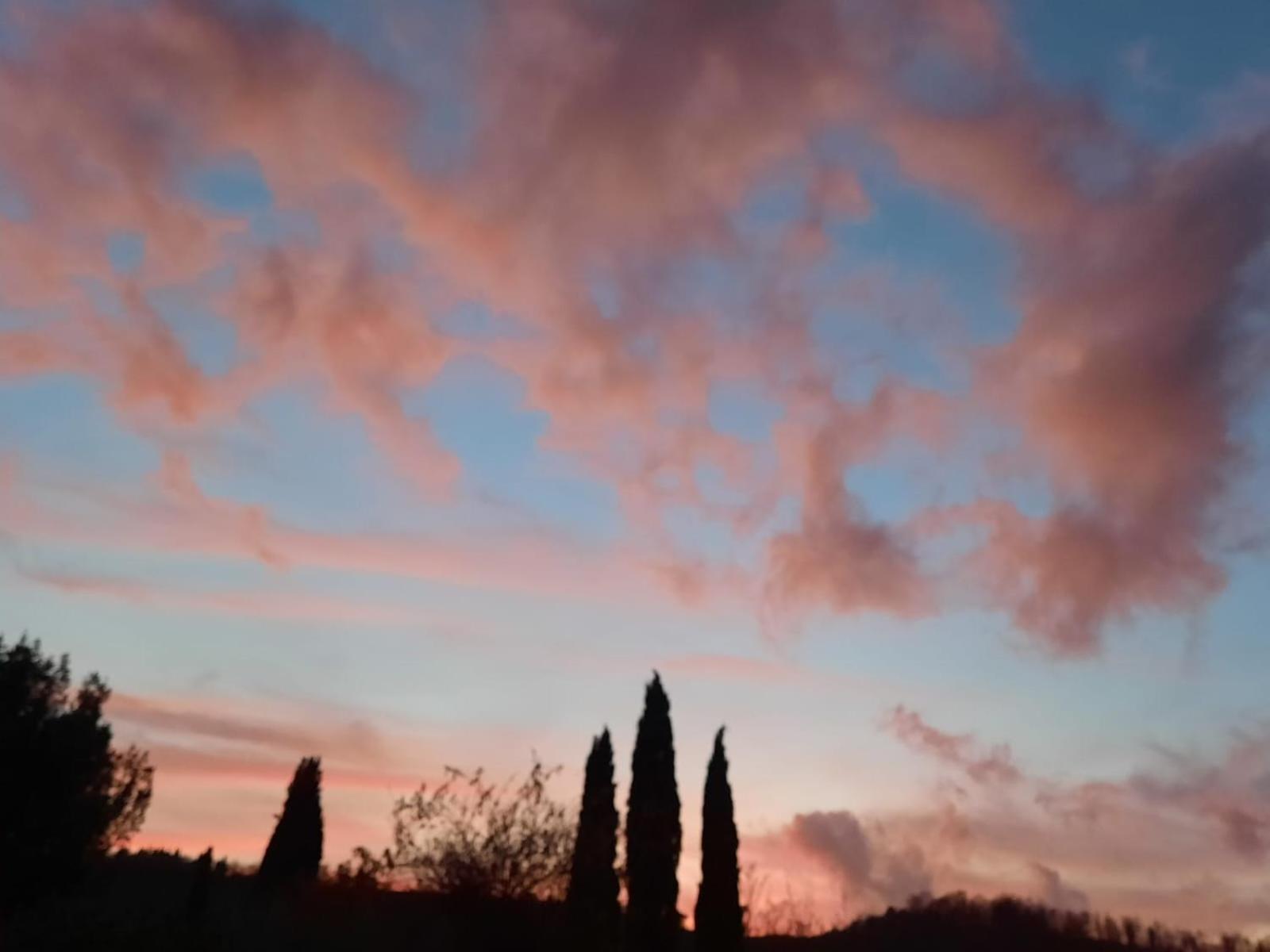Villa Al Piccolo Ulivo, A Casa Di Mimo&Se Castiglione dʼOrcia Exterior foto