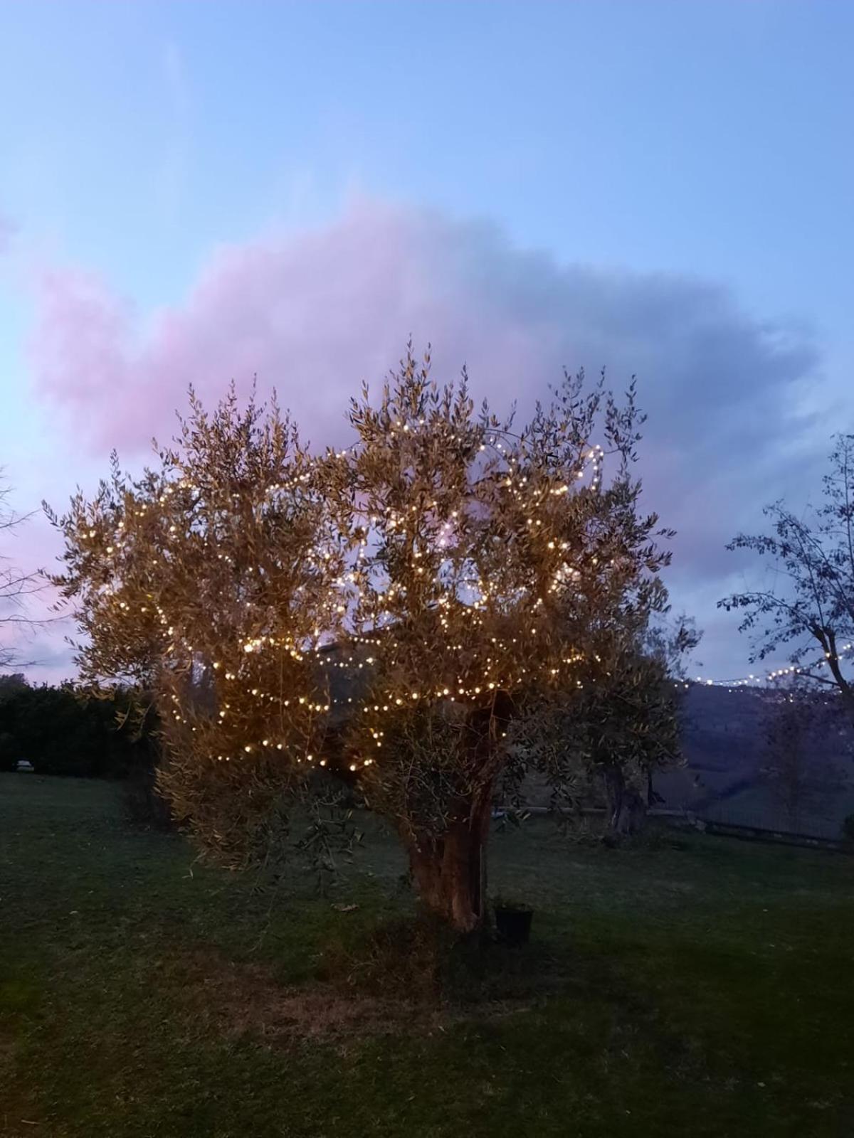 Villa Al Piccolo Ulivo, A Casa Di Mimo&Se Castiglione dʼOrcia Exterior foto