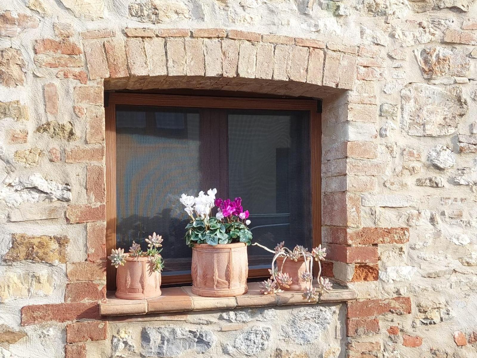 Villa Al Piccolo Ulivo, A Casa Di Mimo&Se Castiglione dʼOrcia Exterior foto