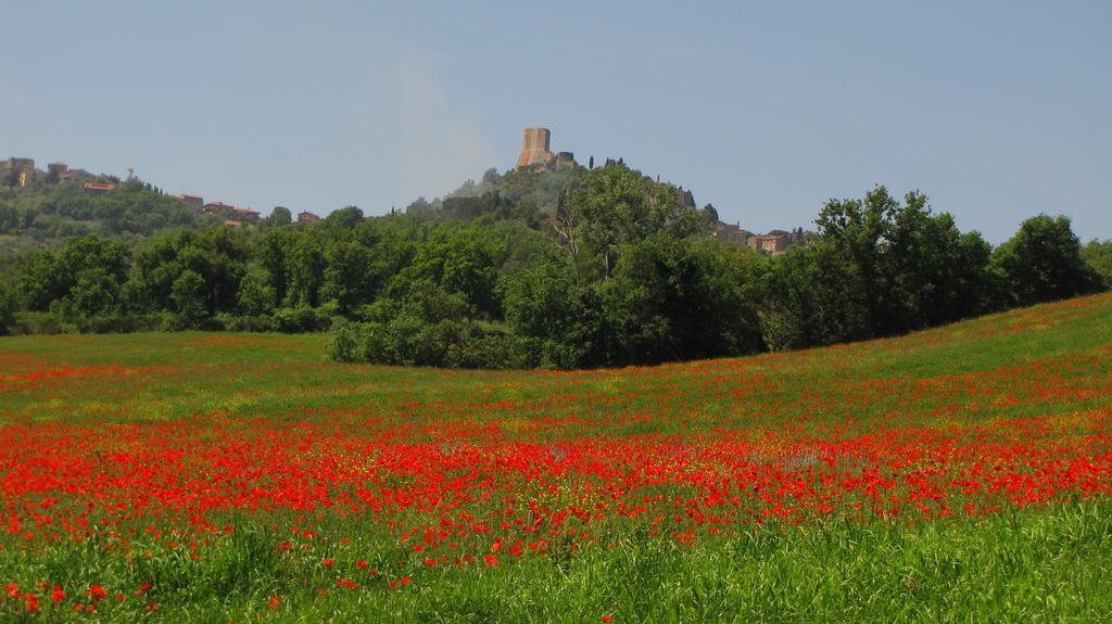 Villa Al Piccolo Ulivo, A Casa Di Mimo&Se Castiglione dʼOrcia Exterior foto